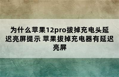 为什么苹果12pro拔掉充电头延迟亮屏提示 苹果拔掉充电器有延迟亮屏